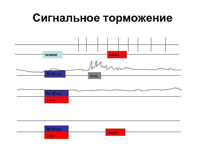 Сигнальное торможение звонок М-50 гц пища боль М-50 гц Свет пища 
