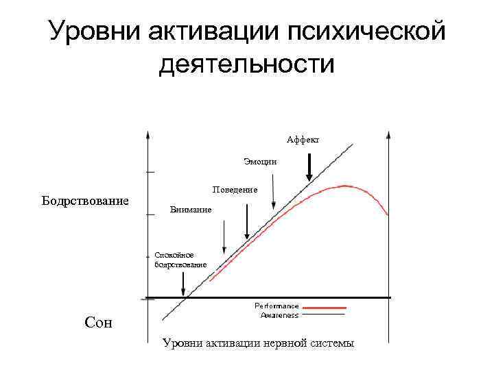 Уровни активации психической деятельности Аффект Эмоции Бодрствование Поведение Внимание Спокойное бодрствование Сон Уровни активации