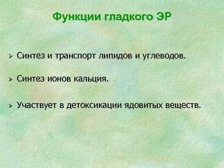 Функции гладкого ЭР Ø Синтез и транспорт липидов и углеводов. Ø Синтез ионов кальция.