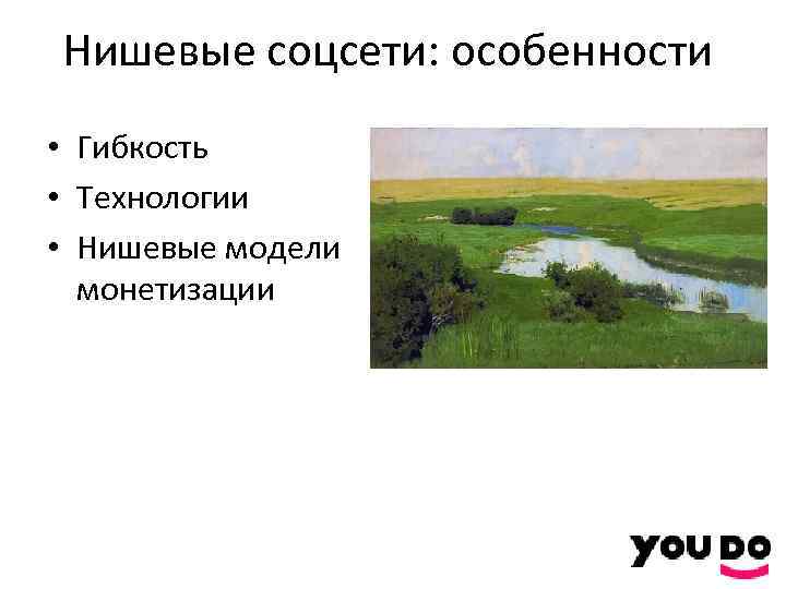 Нишевые соцсети: особенности • Гибкость • Технологии • Нишевые модели монетизации 