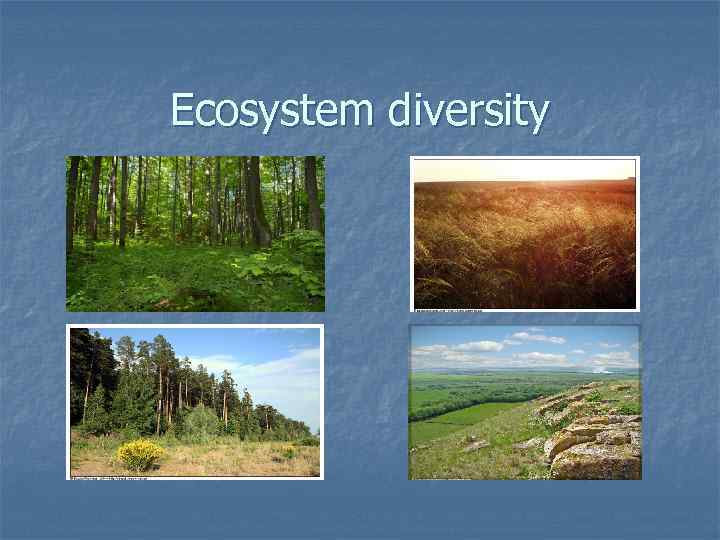Ecosystem diversity 