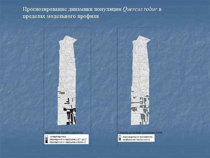 Прогнозирование динамики популяции Quercus robur в пределах модельного профиля 