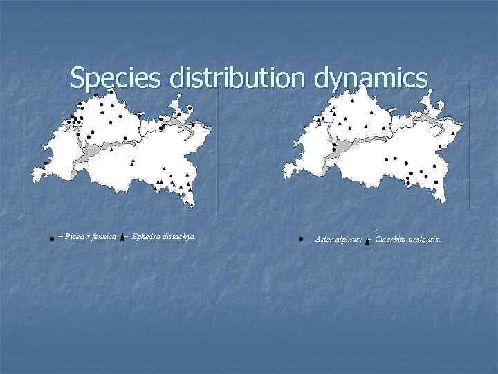 Species distribution dynamics – Picea x fennica; – Ephedra distachya. : – Aster alpinus;