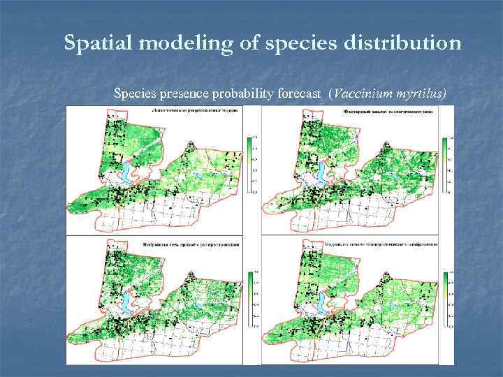 Spatial modeling of species distribution Species presence probability forecast (Vaccinium myrtilus) 