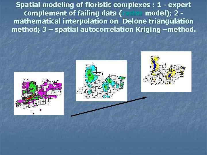 Spatial modeling of floristic complexes : 1 - expert complement of failing data (raster