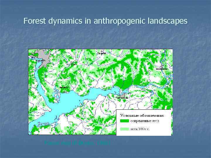 Forest dynamics in anthropogenic landscapes Forest map (F. Boyko, 1986) 
