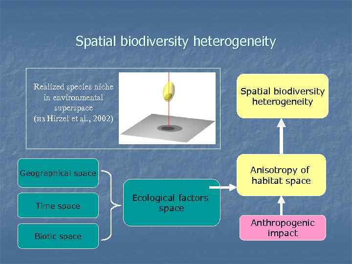 Spatial biodiversity heterogeneity Realized species niche in environmental superspace (из Hirzel et al. ,