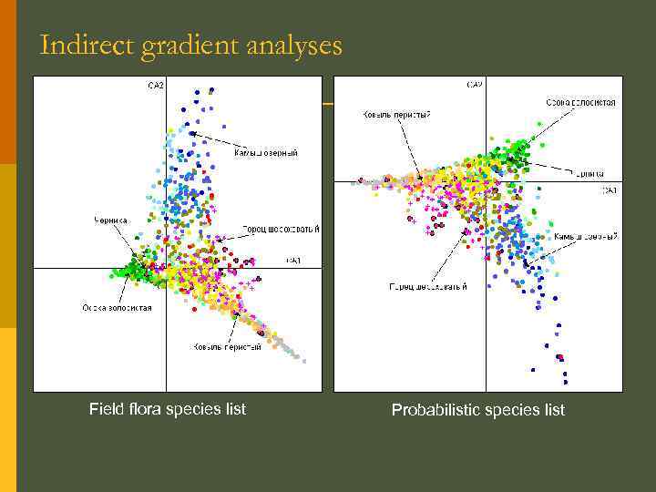 Indirect gradient analyses Field flora species list Probabilistic species list 