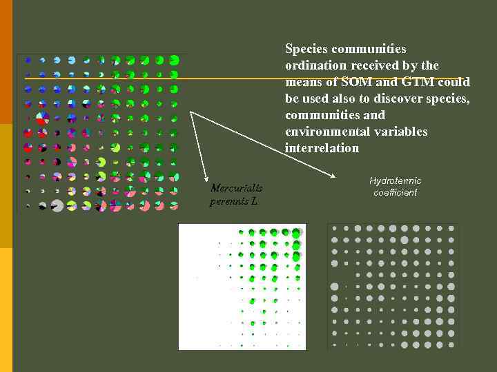 Species communities ordination received by the means of SOM and GTM could be used