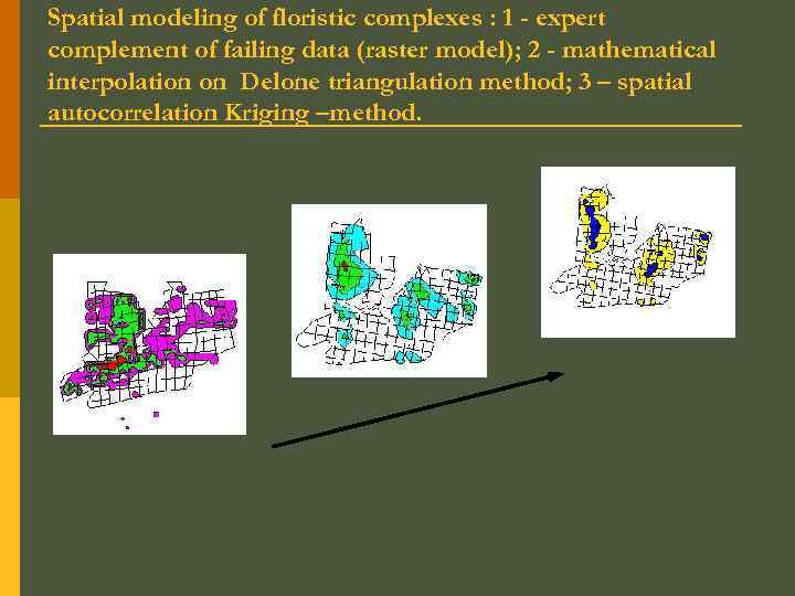 Spatial modeling of floristic complexes : 1 - expert complement of failing data (raster