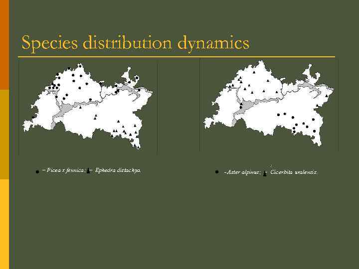 Species distribution dynamics – Picea x fennica; – Ephedra distachya. : – Aster alpinus;