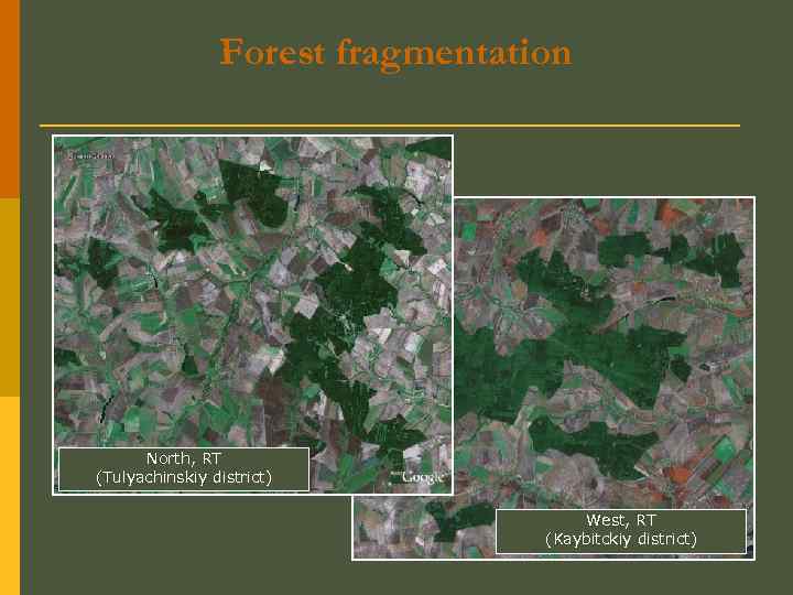 Forest fragmentation North, RT (Tulyachinskiy district) West, RT (Kaybitckiy district) 