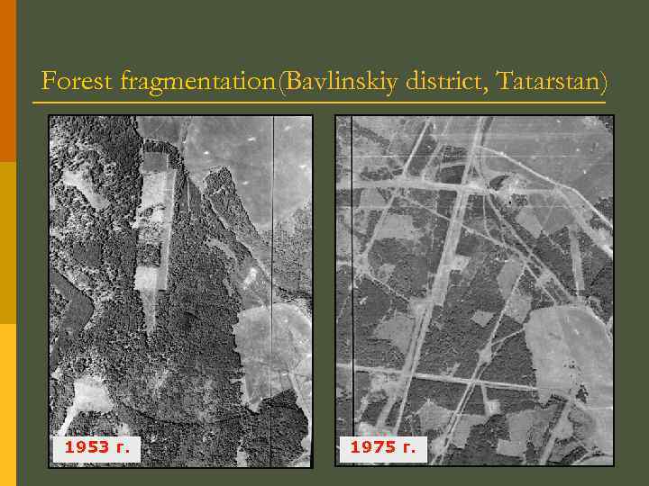 Forest fragmentation(Bavlinskiy district, Tatarstan) 1953 г. 1975 г. 