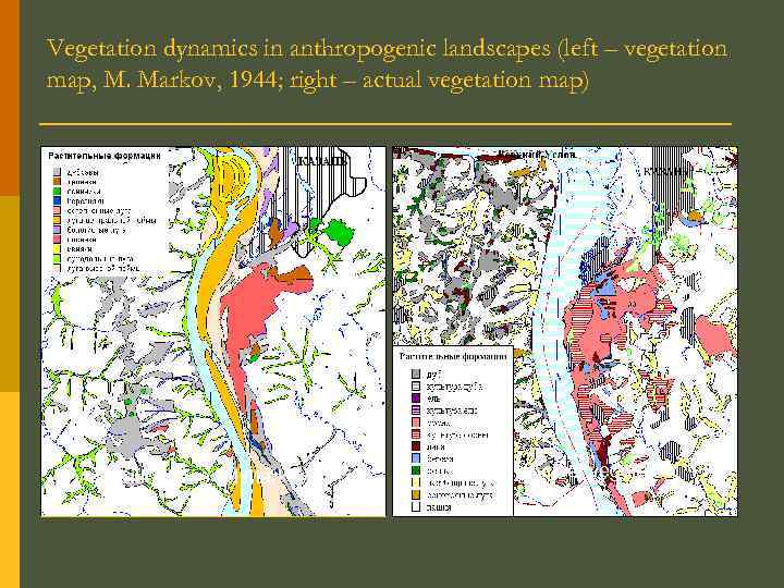 Vegetation dynamics in anthropogenic landscapes (left – vegetation map, M. Markov, 1944; right –