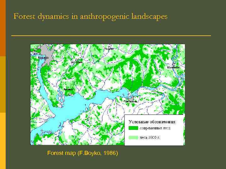 Forest dynamics in anthropogenic landscapes Forest map (F. Boyko, 1986) 