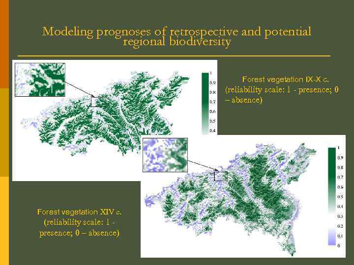 Modeling prognoses of retrospective and potential regional biodiversity Forest vegetation IX-X c. (reliability scale: