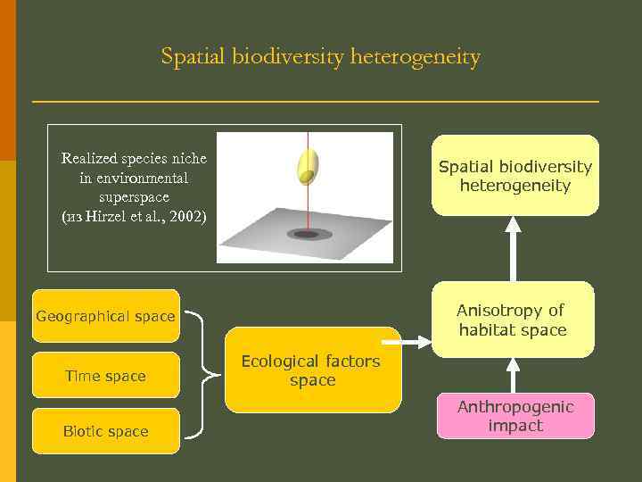 Spatial biodiversity heterogeneity Realized species niche in environmental superspace (из Hirzel et al. ,