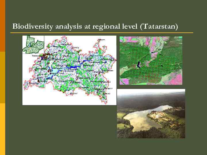 Biodiversity analysis at regional level (Tatarstan) 