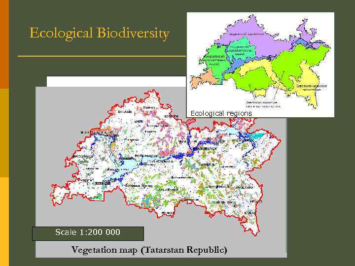 Ecological Biodiversity Ecological regions Scale 1: 200 000 Vegetation map (Tatarstan Republic) 