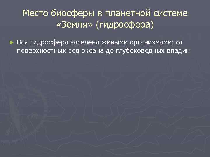 Место биосферы в планетной системе «Земля» (гидросфера) ► Вся гидросфера заселена живыми организмами: от