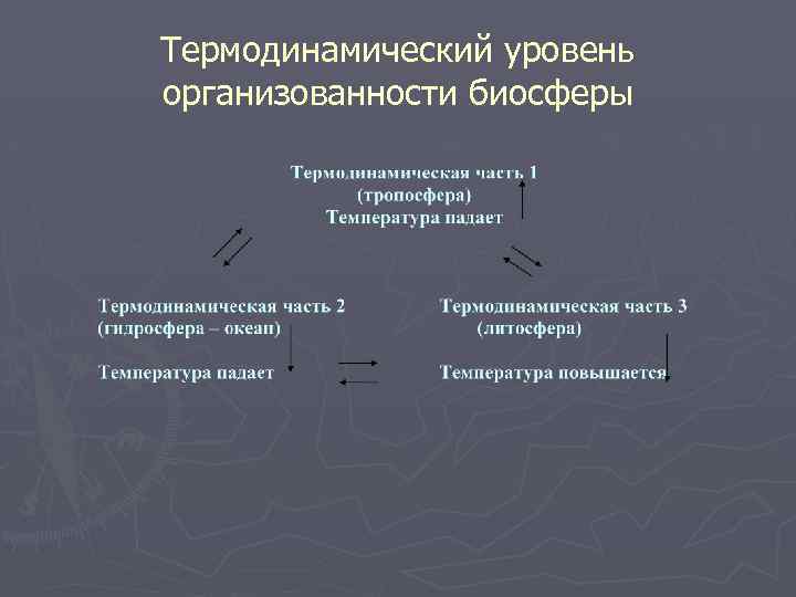 Термодинамическая картина мира