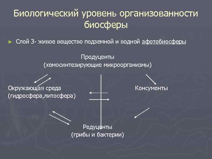 Биологический уровень организованности биосферы ► Слой 3 - живое вещество подземной и водной афотобиосферы