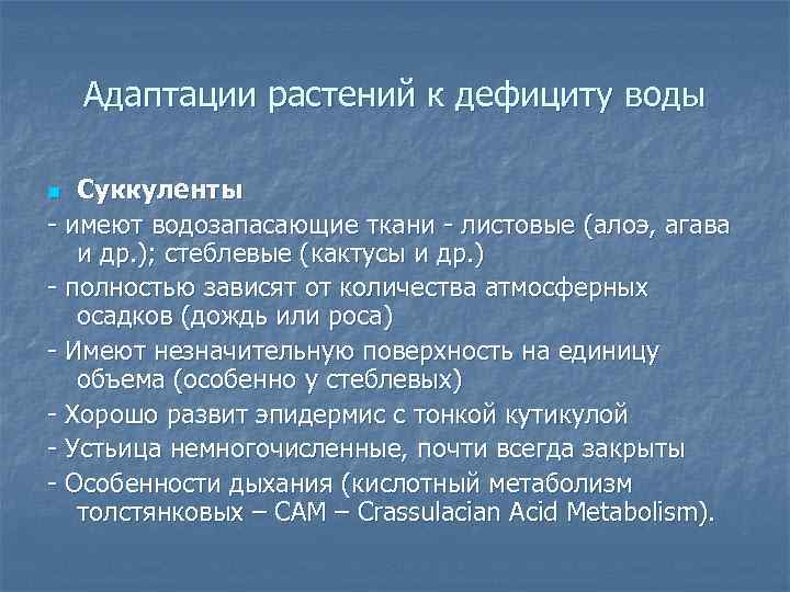 Адаптации растений к дефициту воды Суккуленты - имеют водозапасающие ткани - листовые (алоэ, агава