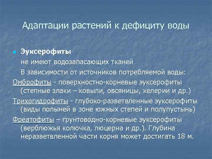 Адаптации растений к дефициту воды Эуксерофиты - не имеют водозапасающих тканей - В зависимости