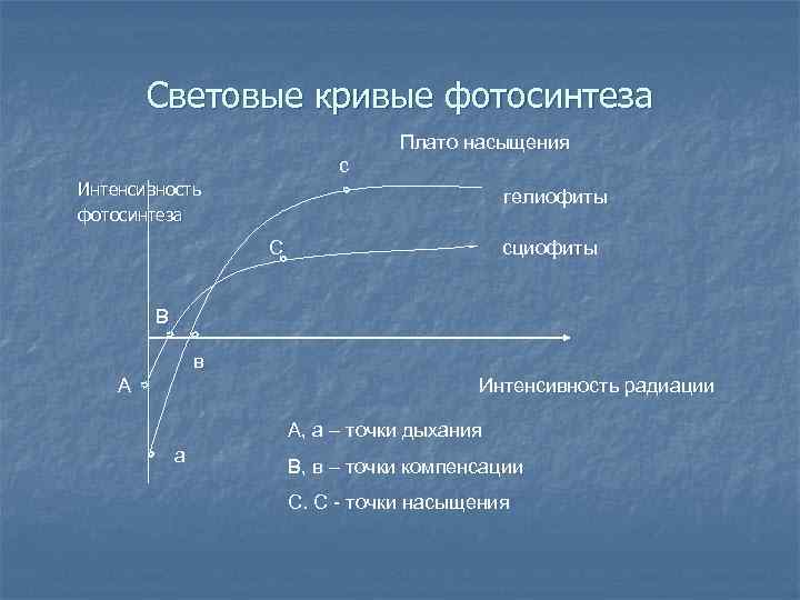 Световые кривые фотосинтеза Плато насыщения с Интенсивность фотосинтеза гелиофиты С сциофиты В в Интенсивность