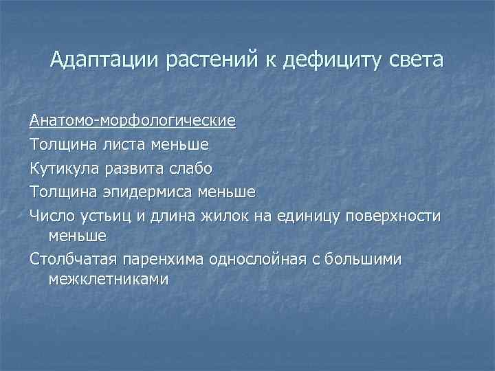 Адаптации растений к дефициту света Анатомо-морфологические Толщина листа меньше Кутикула развита слабо Толщина эпидермиса