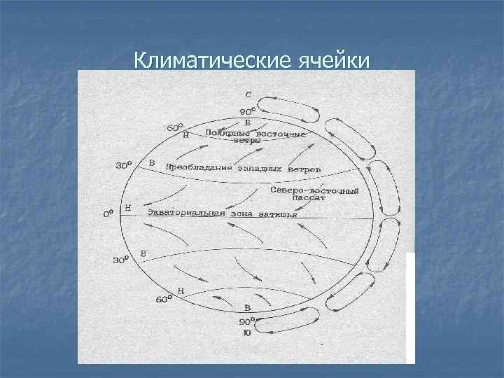 Климатические ячейки 