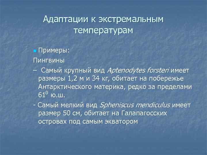 Адаптации к экстремальным температурам Примеры: Пингвины – Самый крупный вид Aptenodytes forsteri имеет размеры