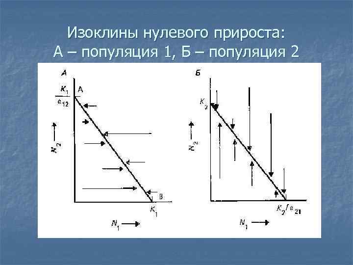 Изоклины нулевого прироста: А – популяция 1, Б – популяция 2 