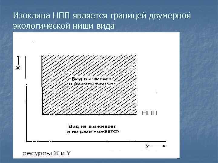 Изоклина НПП является границей двумерной экологической ниши вида 
