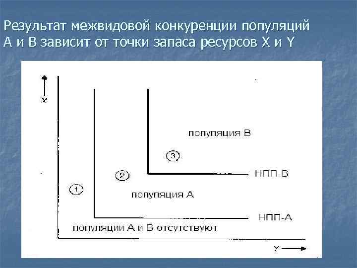 Результат межвидовой конкуренции популяций А и В зависит от точки запаса ресурсов Х и