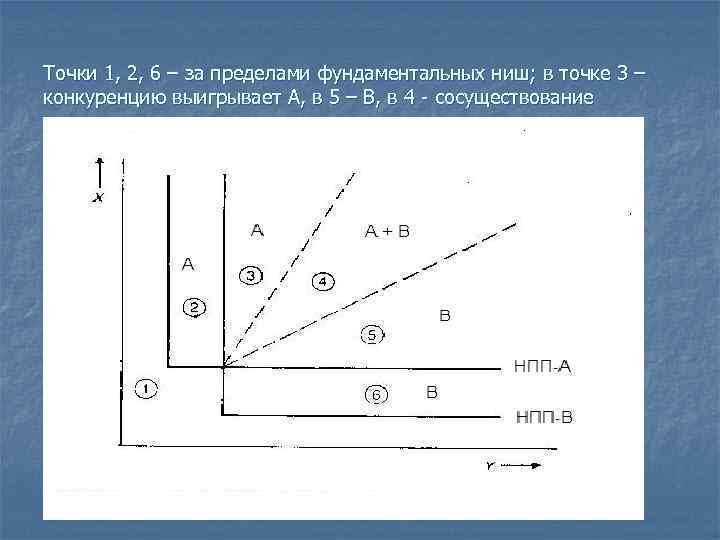 Точки 1, 2, 6 – за пределами фундаментальных ниш; в точке 3 – конкуренцию