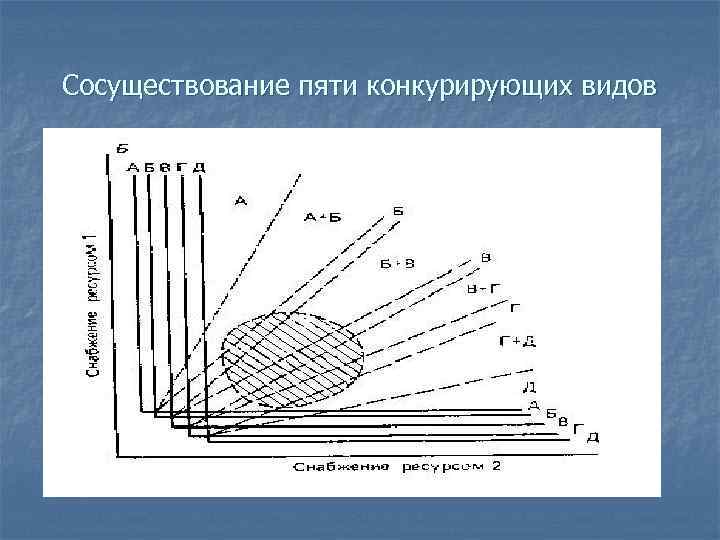 Сосуществование пяти конкурирующих видов 