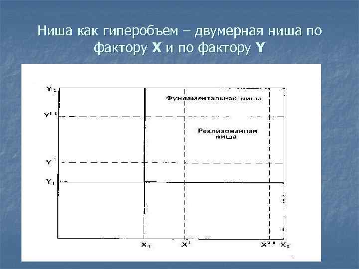 Ниша как гиперобъем – двумерная ниша по фактору Х и по фактору Y 