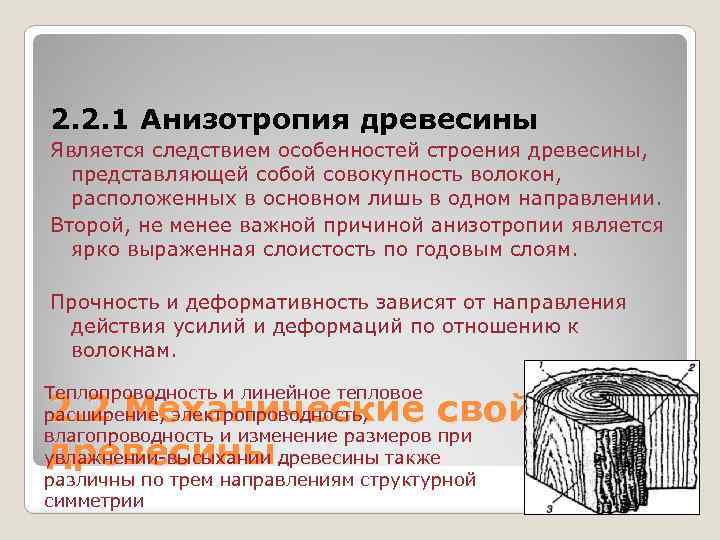 2. 2. 1 Анизотропия древесины Является следствием особенностей строения древесины, представляющей собой совокупность волокон,