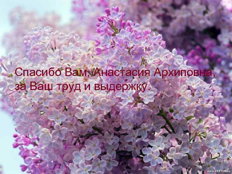 Спасибо Вам, Анастасия Архиповна, за Ваш труд и выдержку. 