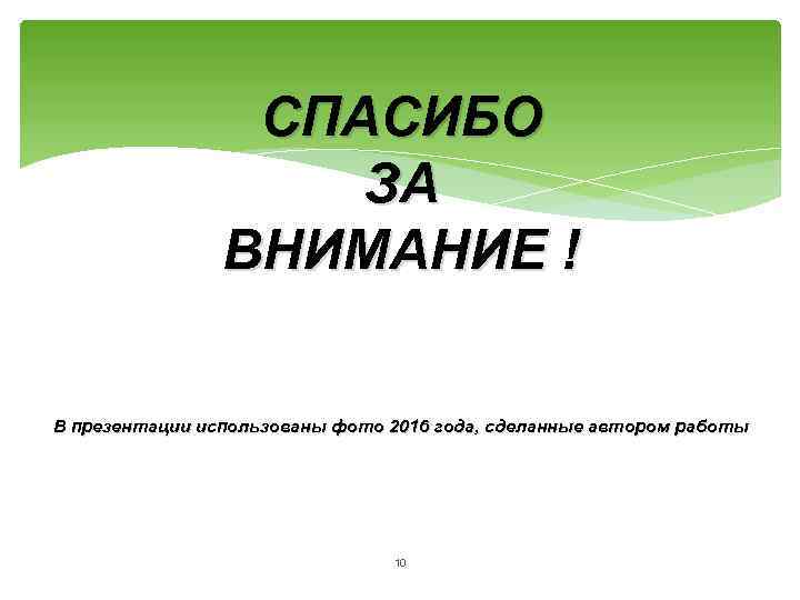 СПАСИБО ЗА ВНИМАНИЕ ! В презентации использованы фото 2016 года, сделанные автором работы 10