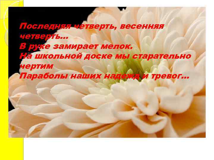 Последняя четверть, весенняя четверть… В руке замирает мелок. На школьной доске мы старательно чертим