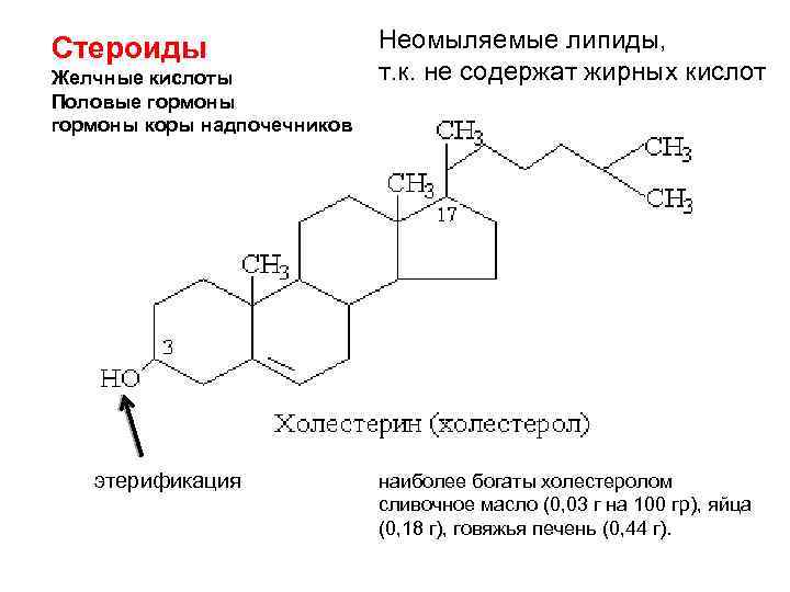 Липидов кислота