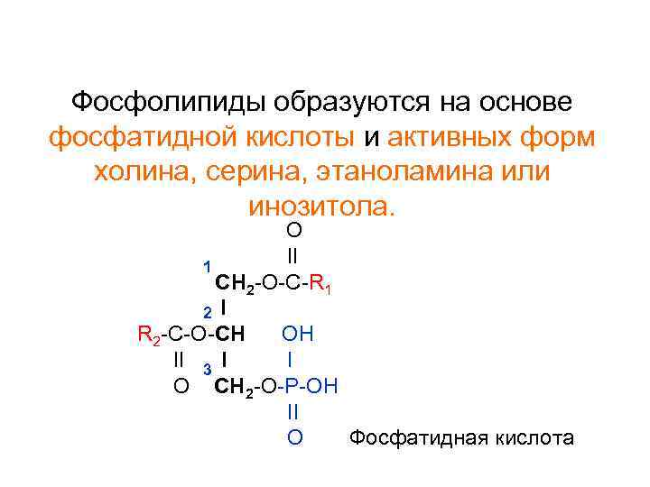 Фосфолипиды. Фосфатидная кислота с холином. Фосфолипиды из фосфатидной кислоты. Фосфатидная кислота + серин. Фосфатидовая кислота формула.