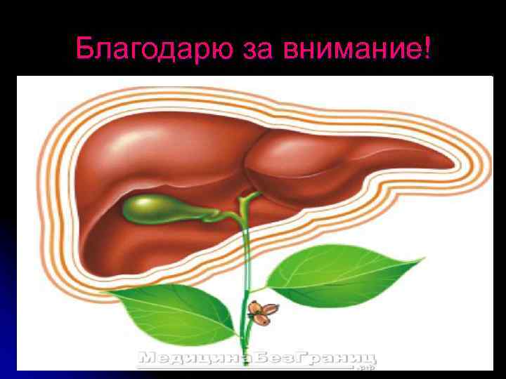 Благодарю за внимание! 