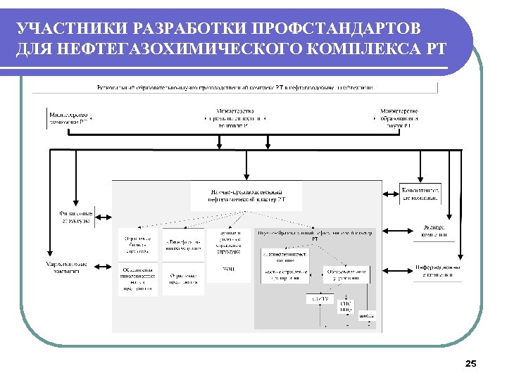 УЧАСТНИКИ РАЗРАБОТКИ ПРОФСТАНДАРТОВ ДЛЯ НЕФТЕГАЗОХИМИЧЕСКОГО КОМПЛЕКСА РТ 25 