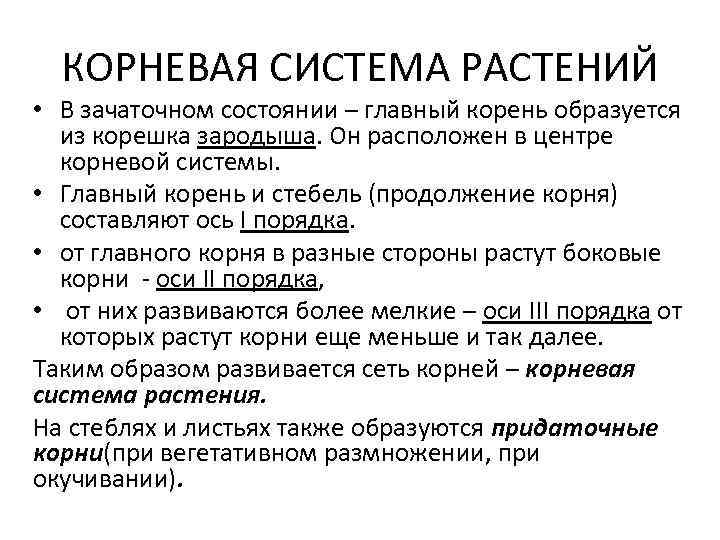 КОРНЕВАЯ СИСТЕМА РАСТЕНИЙ • В зачаточном состоянии – главный корень образуется из корешка зародыша.