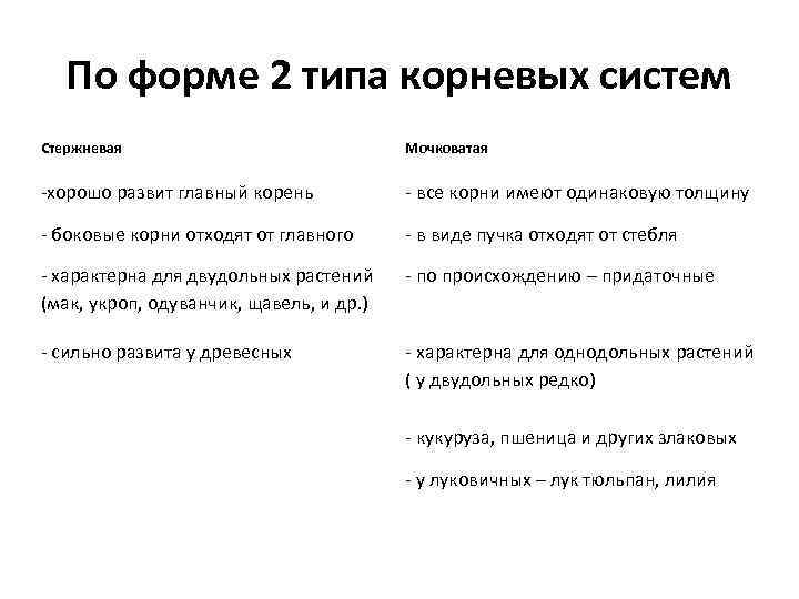 По форме 2 типа корневых систем Стержневая Мочковатая -хорошо развит главный корень - все