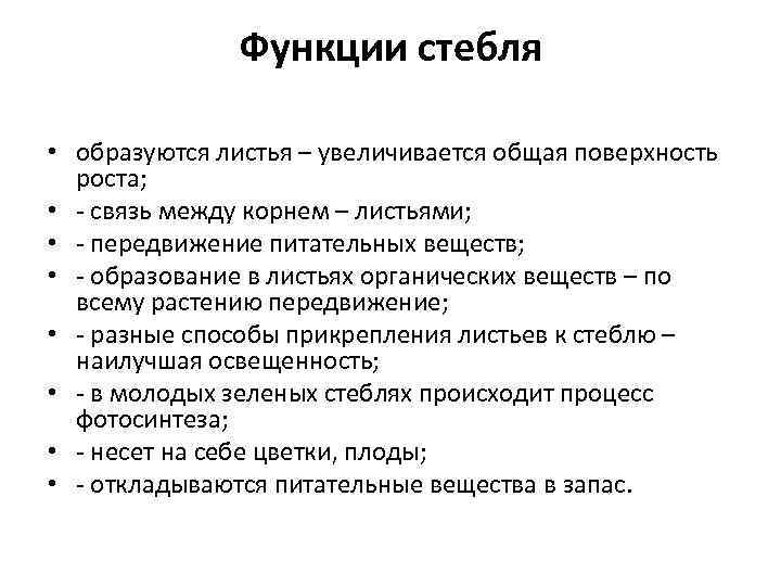 Функции стебля • образуются листья – увеличивается общая поверхность роста; • - связь между