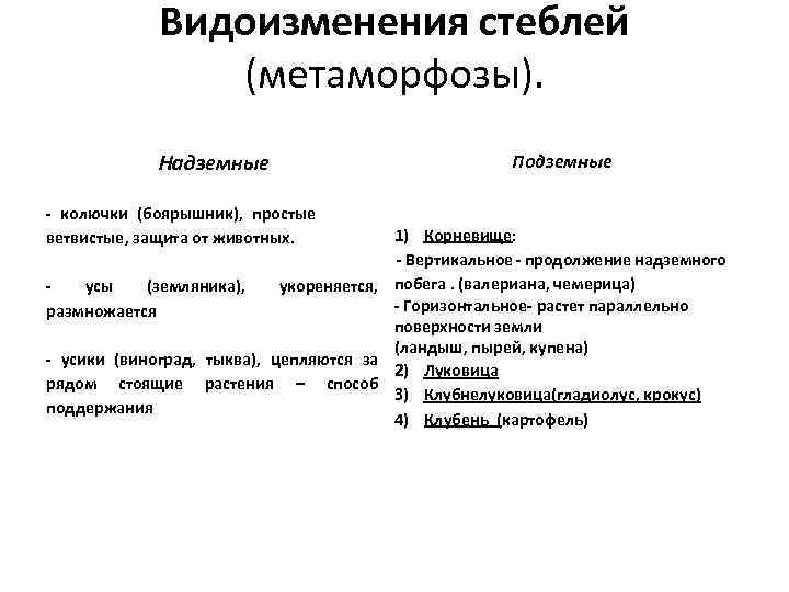 Видоизменения стеблей (метаморфозы). Надземные - колючки (боярышник), простые ветвистые, защита от животных. - усы